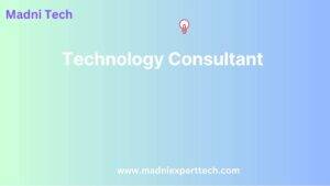 Technology Consultant